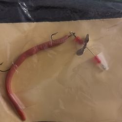 spinner rig with a worm