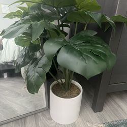 Fake Monstera Plant! 