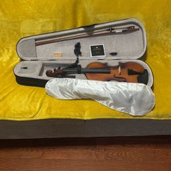 Violin