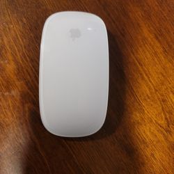 Apple Magic Mouse 