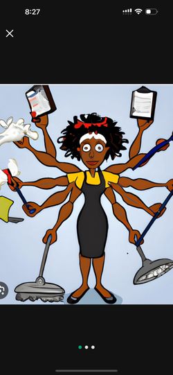 Professional Cleaner 