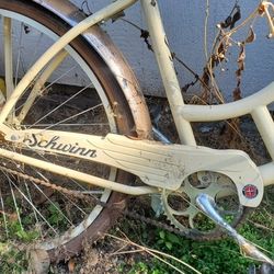 Schwinn Beach Cruiser Women's