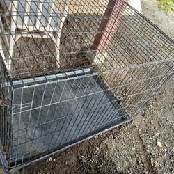 Large Dog Kennel