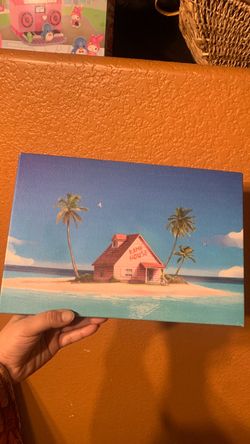 Dragon ball canvas and Dexter book