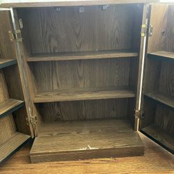 Vintage VHS, DVD, Game Cartridge or General Storage Cabinet 