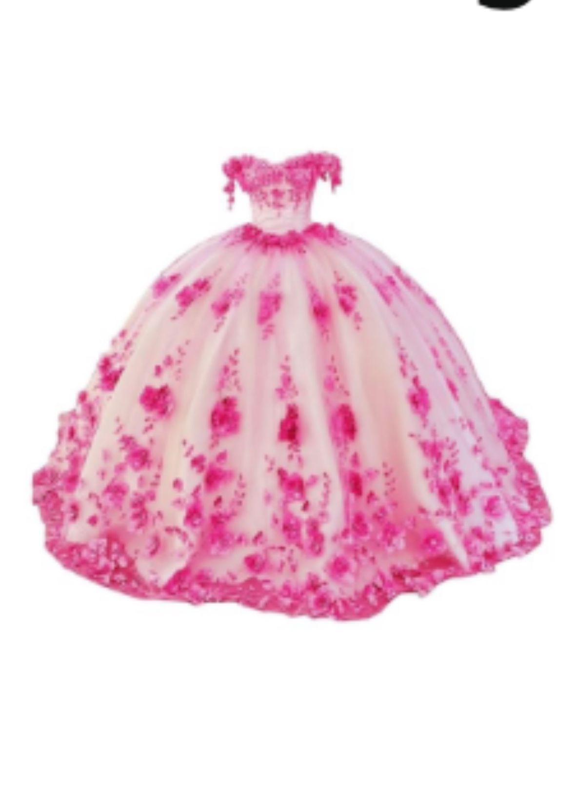 Quinceanera Dress NEW