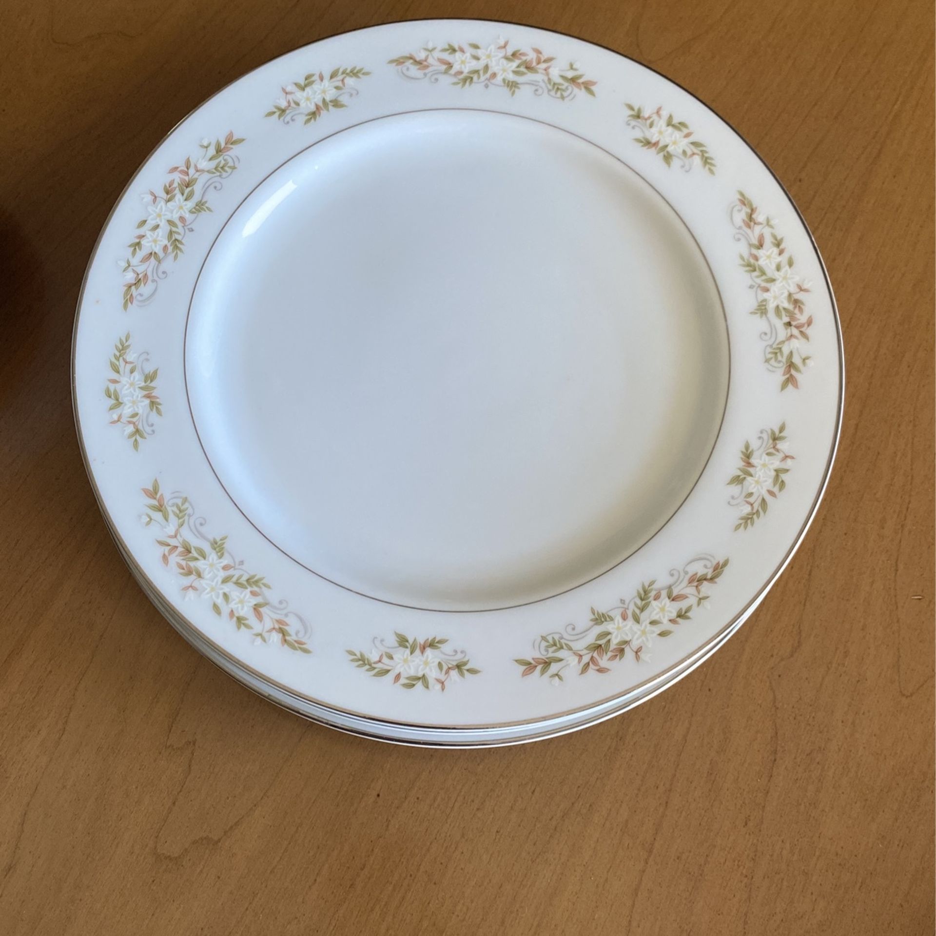 Vintage Fine China Dinner Plates