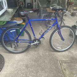 Giant Upland Mountain Bike