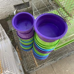 Bird Feeders 