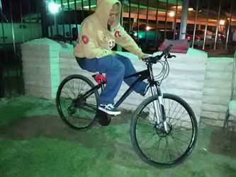 Schwinn xl 29 sales twenty niner