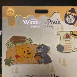 Disney pin (Winnie the Pooh)