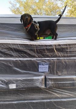 ❤️❤️❤️ QUEEN SIZE LUXURY ORTHOPEDIC FIRM MATTRESS BLOWOUT SALE❤️❤️❤️