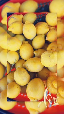 Lemons $10 A Bag No Holds 93304