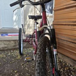 Meridian Shwinn Tri Bicycle