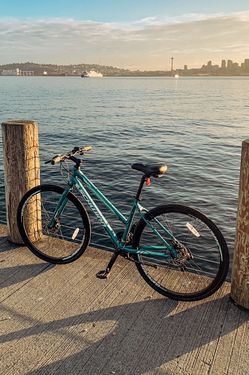 Schwinn Hybrid Bike