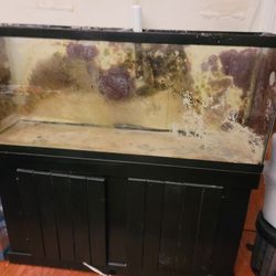 55g Salt Water Tank