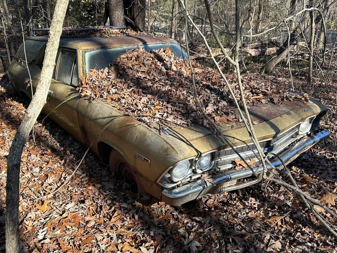 Muscle Cars And Classic DEAD OR ALIVE ANY CONDITION $$$$$