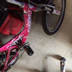 Pacific Evolution Bike  18” 5speed