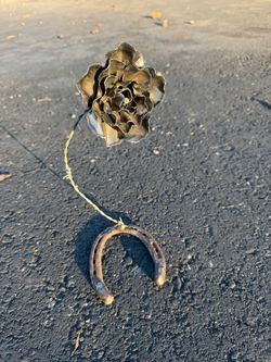 metal rose