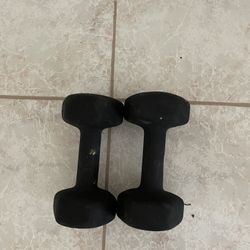 Dumbbell Set  12.5 Lbs Each