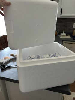 Styrofoam cooler and ice packs free