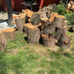 Logs