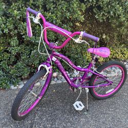 Schwinn Deelite 20” Bike