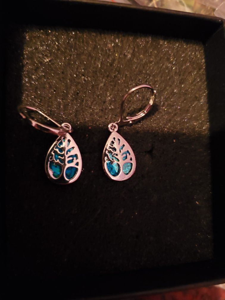 New Silver Plated Earrings