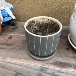 4 Inch Gray Plant Pot
