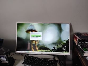 Acer Widescreen Monitor