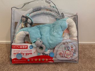 Skip Hop Activity Gym