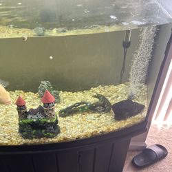 Fish Tank 