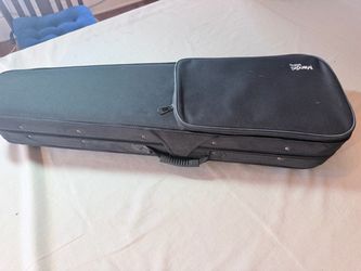 Student violin