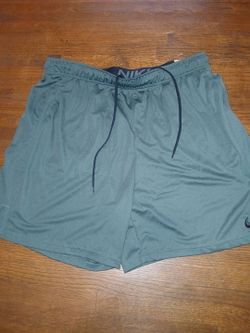 Mens Clothes Size 2XL Nike Drifit shorts