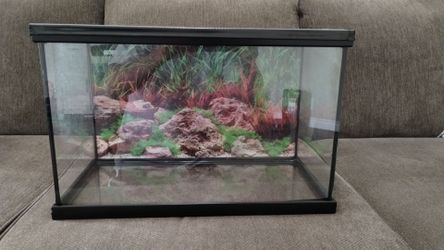 Reptile aquarium