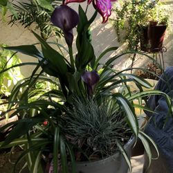 Flower Arrangement