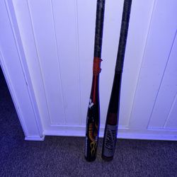 Bats