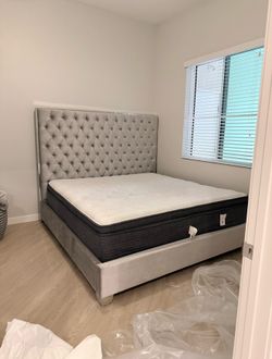 14 inch mattress (brand new)