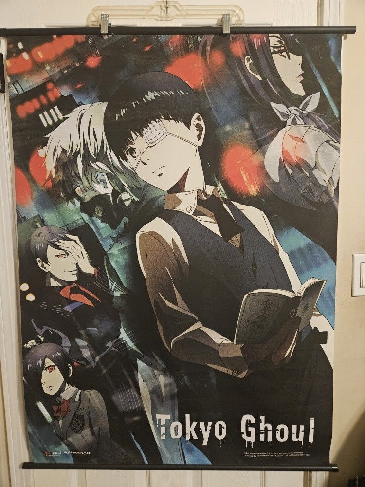 Tokyo Ghoul Anime Home Decor Wall Scroll Poster Fabric Painting Kaneki Ken/Touka Kirishima 23.6 x 35.4 Inches-144