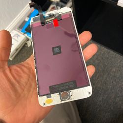 iPhone 6 + LCDs