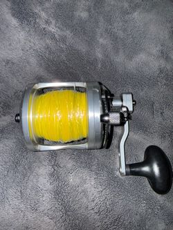 Avet LX 6/3 - MC Raptor