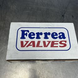 Honda Civic Acura Rsx Tsx K20 K24 35mm Ferrea Intake Valves NEW