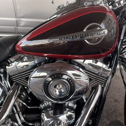 2012 FLSTC Heritage Softail