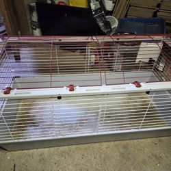 Bunny Cage/stuff