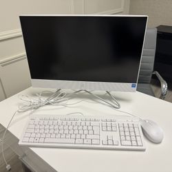 HP 22 inch All-in-One Desktop PC