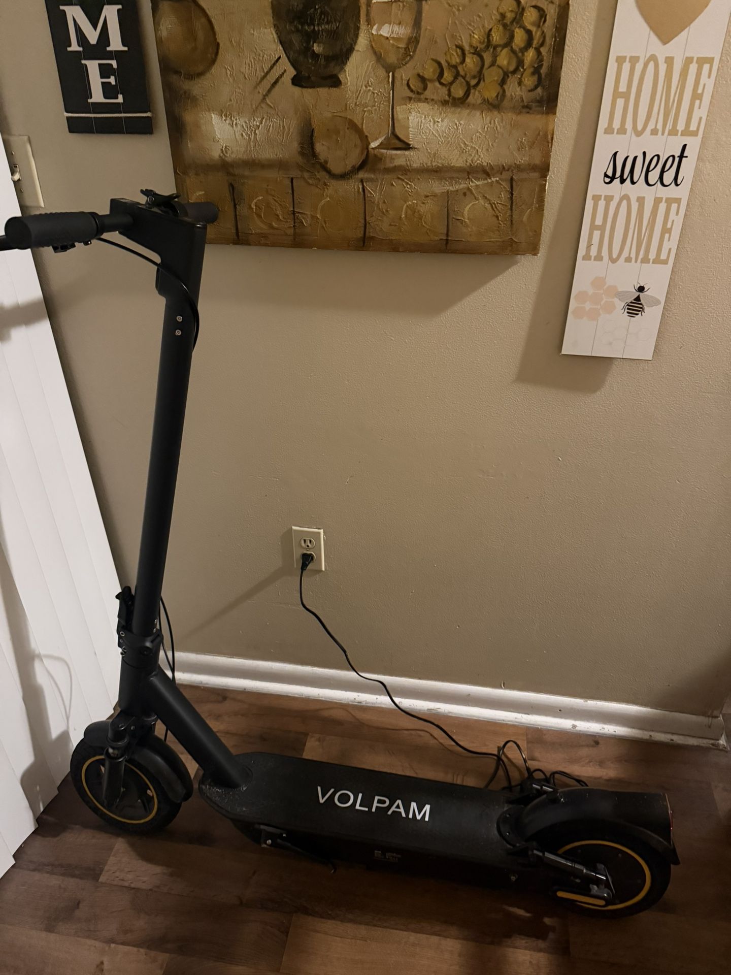 Electric Scooter 