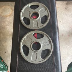 Pair Of 5 Pound Iron Weightlifting Plates