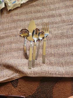 Danika stainless Steel  Silverware
