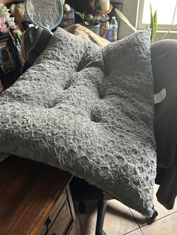 Dog Bed 