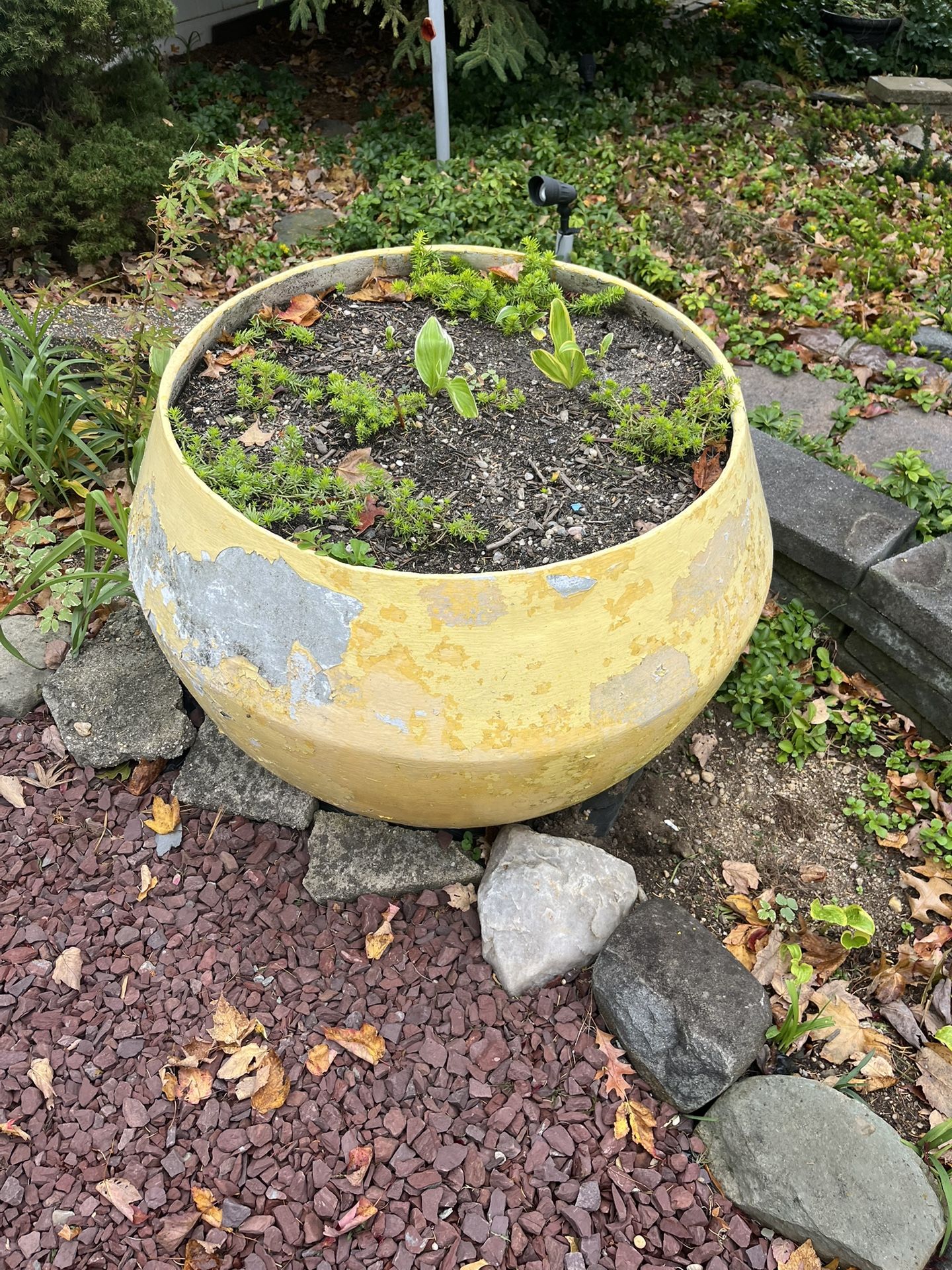 Large Fiberglass Flower Pot
